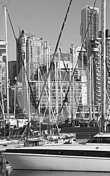 Vancouver skyline and waterfront from Stanley Park