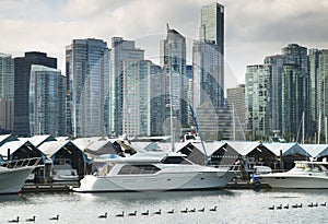 Vancouver skyline and waterfront from Stanley Park. Canada