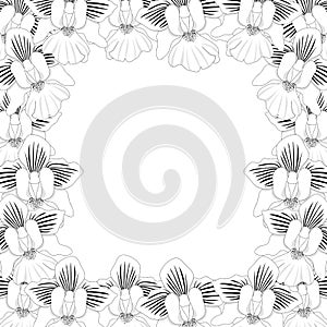 Vanda Miss Joaquim Orchid Outline Border isolated on White Background. Vector Illustration. Singapore National Flower