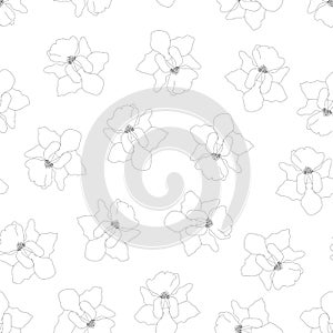 Vanda Miss Joaquim Orchid Outline on White Background. Singapore National Flower. Vector Illustration