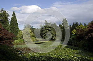 VanDusen Botanical Garden