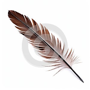vane the flat expanded part of the feather formed by the barbs