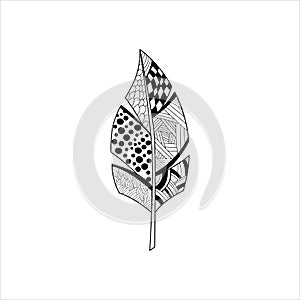 Vaned Feather Zentangle For Coloring