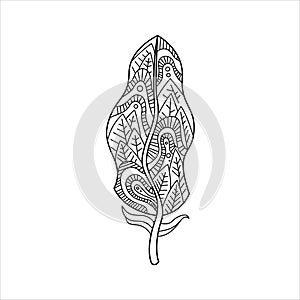Vaned Feather Zentangle For Coloring