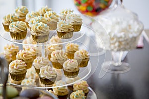 Vanilla bean mini cupcakes decorated with cyan & pink candy beads on a clear tiered tray on a dessert table with marshmallows, j