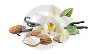 Vanilla beans with flower and almond nuts isolated on white background with clipping path