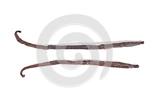 Vanilla beans pods sticks isolated on white