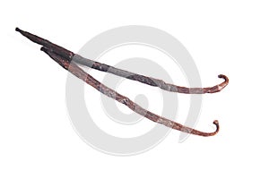 Vanilla beans pods sticks isolated on white