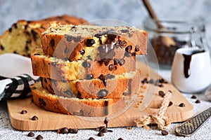 Vanilla bread with chocolate drops on the table. Slices of cake