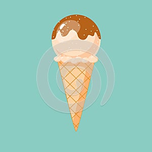 Vanilla Chocolate chip Ice cream with waffle basket
