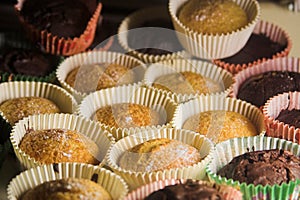 Vanilla and chocolate cupcakes