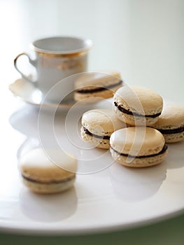 Vanilla and chocolate french macarons