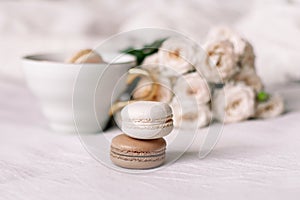 Vanilla and chocolate macaroons on white roses background