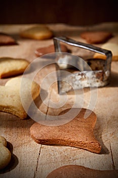 Vanilla and cocoa flavoured fresh cookies