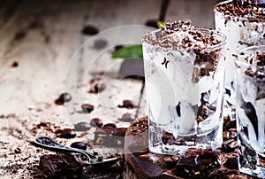 Vanilla coffee ice cream with chocolate chips, selective focus