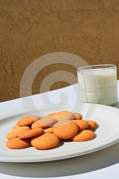 Vanilla Cookies and a Glass of Milk