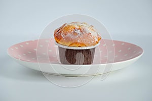 Vanilla cupcake in brown paper liners placed on a pink dish. side view