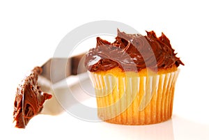 Vanilla cupcake with chocolate frosting