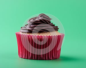 Vanilla cupcake with chocolate icing, green background