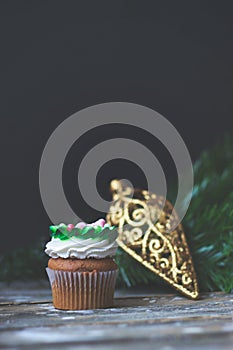 Vanilla cupcake with christmas decoration, on dark background; s