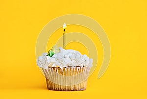 Vanilla Cupcake with Lit Candle