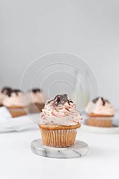 Vanilla cupcake with a tall swirl of pink frosting, chocolate glaze