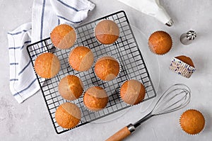 Vanilla cupcakes on a baking rack and decoration for cupcakes with frosting in a pastry bag