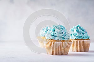 Vanilla cupcakes with blue frosting decorated with sprinkles