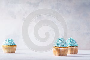 Vanilla cupcakes with blue frosting decorated with sprinkles