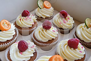 Vanilla cupcakes with fruits on top.