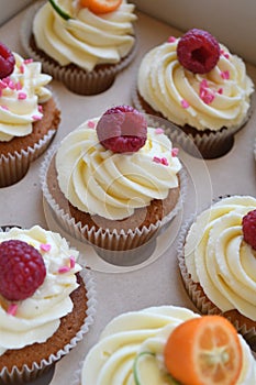 Vanilla cupcakes with fruits on top.