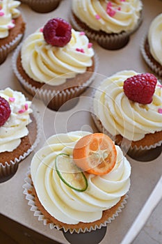 Vanilla cupcakes with fruits on top.