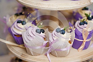 Vanilla cupcakes with lavender cream. Thematic muffins. Cupcakes with cream in a paper tulip form, decorated with