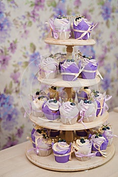 Vanilla cupcakes with lavender cream. Thematic muffins. Cupcakes with cream in a paper tulip form, decorated with