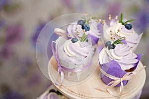 Vanilla cupcakes with lavender cream. Thematic muffins. Cupcakes with cream in a paper tulip form, decorated with