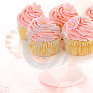 Vanilla cupcakes with pink raspberry frosting