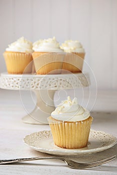 Vanilla cupcakes ready to eat