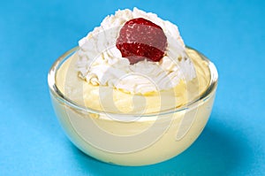 Vanilla custard