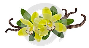 Vanilla dry stick beans isolated on white background with flower and green leaf. Aroma spice for food ingredient