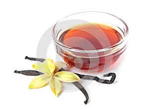 Vanilla extract, flower and dry pods isolated