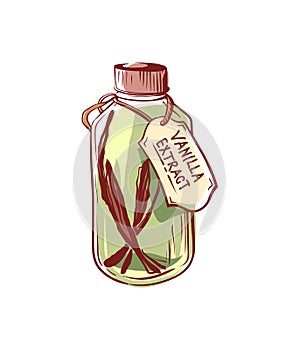 Vanilla extract oil bottle isolated vector icon photo