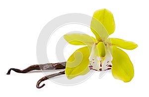 Vanilla flower and 2 sticks isolated on white background as  package design element