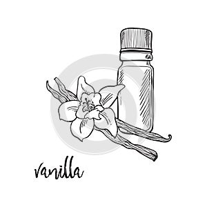 Vanilla flower and bootle spicy photo