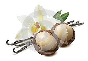 Vanilla flower and leaves with macadamia nut isolated on white background