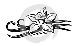 Vanilla flower vector photo