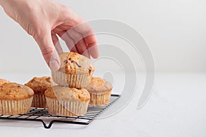 Vanilla fresh baked muffins on a white table