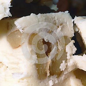 Vanilla fudge square photo