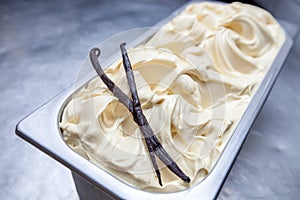 Vanilla Gelato with Pod. Traditional Italian Ice cream tub handmade