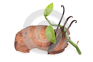 Vanilla green leaves and dried pods isolated on white background