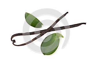 Vanilla green leaves and dried pods isolated on white background with clipping path.top view,flat lay